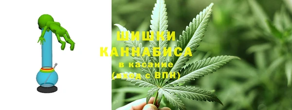 гидропоника Горнозаводск