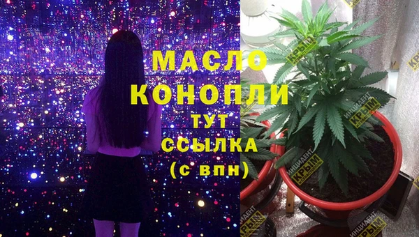 гидропоника Горняк