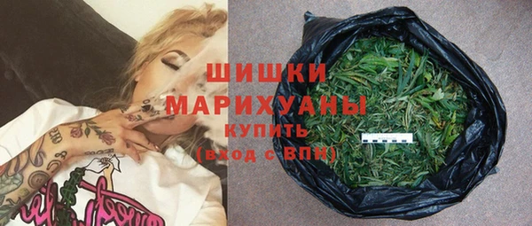 гидропоника Горняк