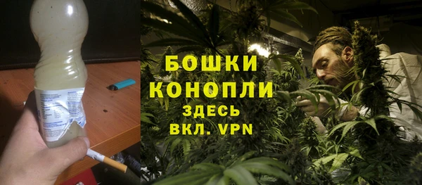 гидропоника Горняк