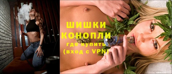 гидропоника Горняк