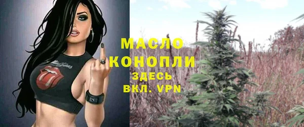 гидропоника Горняк