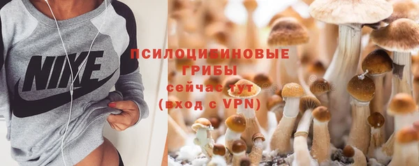 эйфоретик Гусев