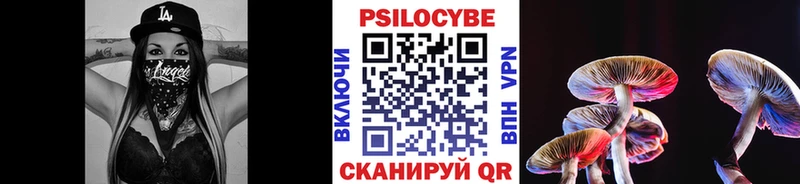 Псилоцибиновые грибы мицелий Купить где Козьмодемьянск